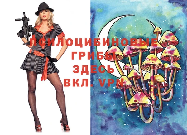 jwh Покачи