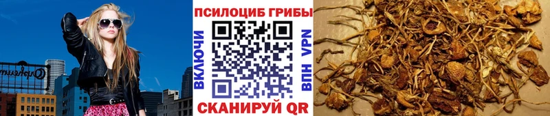 маркетплейс клад  Окуловка  Галлюциногенные грибы прущие грибы 
